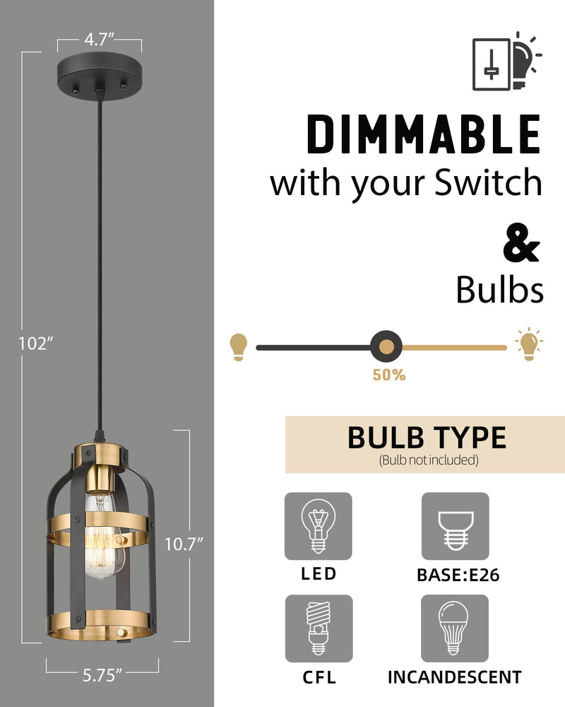 
                  
                    Emliviar Pendant Light, 1-Light Metal Cage Mini Hanging Lighting Fixture, Black and Gold Finish
                  
                