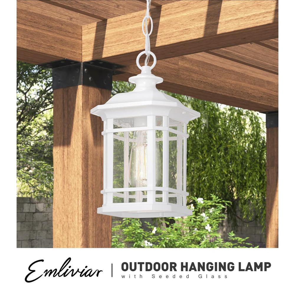 
                  
                    Emliviar Pendant Light for Outside, Outdoor Front Door Chandelier, White Finish with Seeded Glass, WE270H WH
                  
                