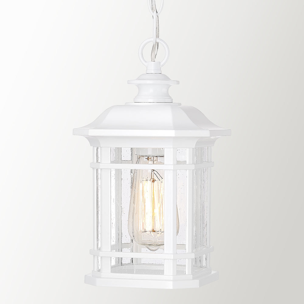 
                  
                    Emliviar Pendant Light for Outside, Outdoor Front Door Chandelier, White Finish with Seeded Glass, WE270H WH
                  
                