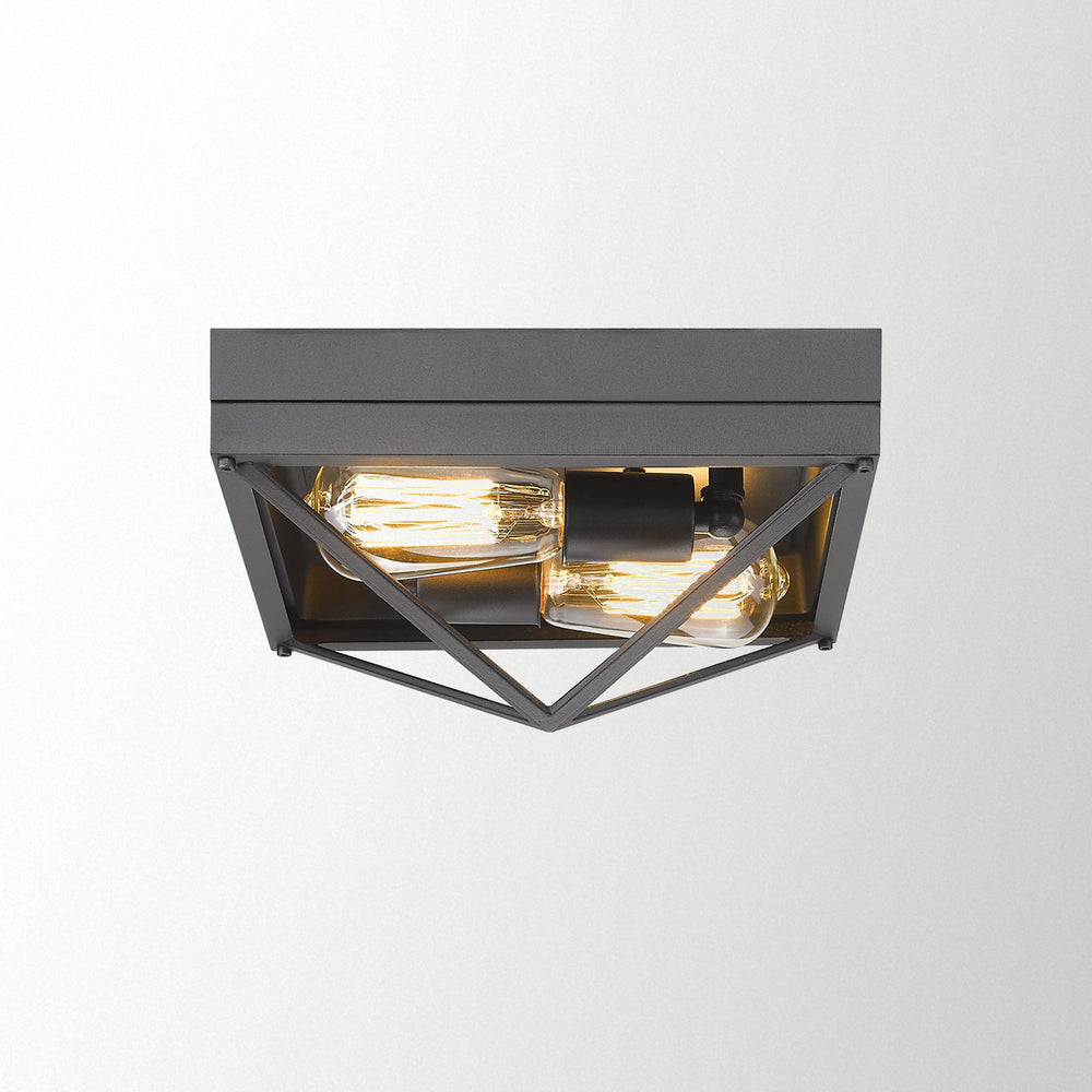 Emliviar Industrial Ceiling Light Fixtures Flush Mount 2-Light in Black Finish,WE201-F BK