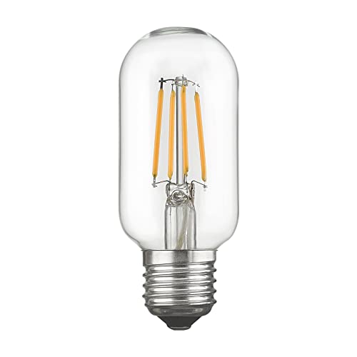 
                  
                    Emliviar Vintage T45 LED Edison Bulbs 6 Pack, Antique Tubular Bulbs 6W 2700K Warm White, E26 Base 60 Watt Equivalent 700 Lumens Clear Glass, T45-LED
                  
                