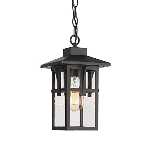 HWH Exterior Hanging Lantern, Farmhouse Porch Pendant Light with Height Adjustable Chain, Matte Black Finish, 5HX62H BK