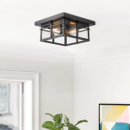 
                  
                    Emliviar Farmhouse Flush Mount Ceiling Light, 2-Light 12 Inch Close to Ceiling Light Fixtures with Clear Glass, Black Finish, GE252F BK
                  
                
