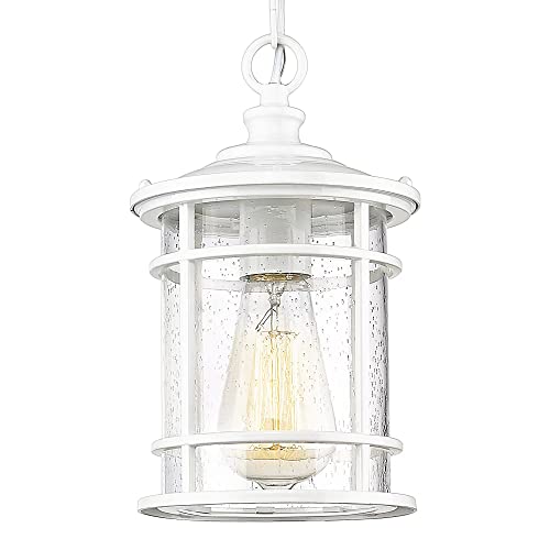 
                  
                    Emliviar 1-Light Outdoor Pendant Lighting for Porch, Modern 10-Inch Exterior Hanging Lantern Light with Seeded Glass, White Finish, XE229H-S WH
                  
                