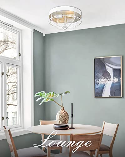 
                  
                    HWH Modern Flush Mount Ceiling Light 12 Inch Close to Ceiling Light with Seeded Glass, 2-Light,  5HTJ7-F WH
                  
                
