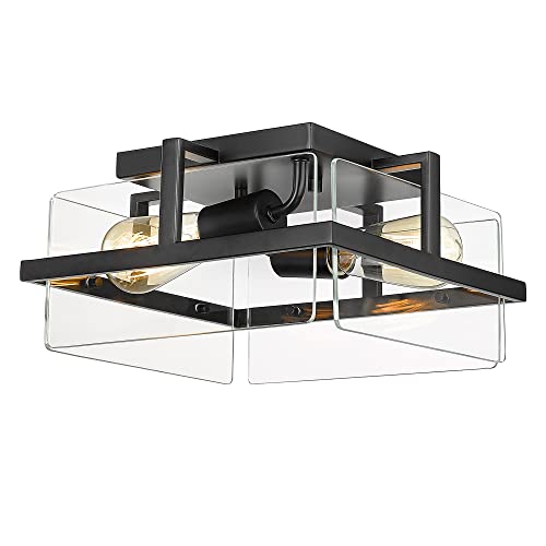 Emliviar Modern Glass Ceiling Light - 11 Inch Semi Flush Mount Light Fixture for Bedroom Kitchen Hallway, Metal Cage with Clear Glass in Black Finish, LE256F BK
