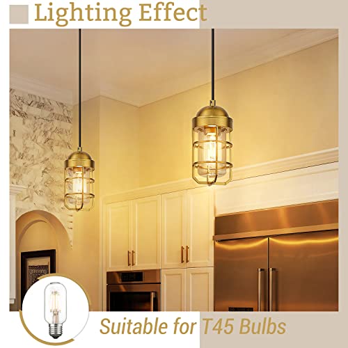 
                  
                    Emliviar Nautical Pendant Lights, Industrial Hanging Light Fixtures, Gold Finish, GE255P-2PK BG
                  
                