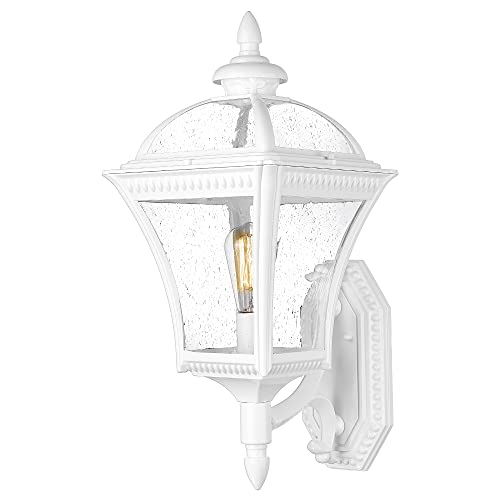 
                  
                    Emliviar Farmhouse Outdoor Light Fixture for House, Extra Large 1-Light Patio Wall Light Fixture with Seeded Glass Shade, White Finish, XE266B WH
                  
                