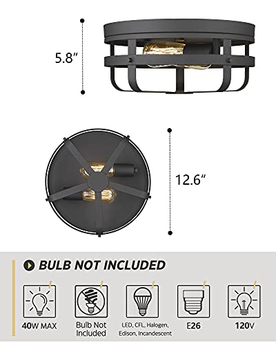 
                  
                    HWH Industrial Ceiling Light Fixture 13inch Metal Cage Flush Mount Close to Ceiling Light, Matte Black Finish, 5HZG55-F BK
                  
                