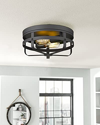 
                  
                    HWH Industrial Ceiling Light Fixture 13inch Metal Cage Flush Mount Close to Ceiling Light, Matte Black Finish, 5HZG55-F BK
                  
                