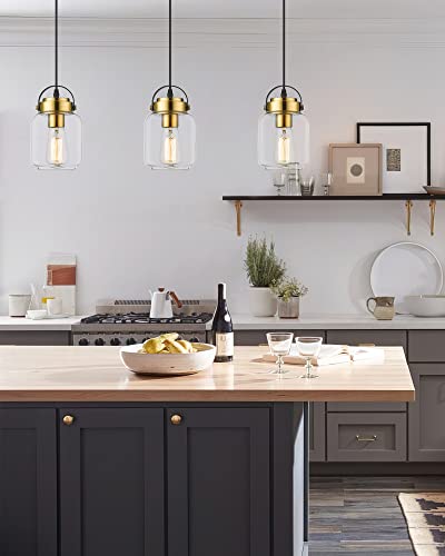 
                  
                    HWH Farmhouse Glass Pendant Light Gold, Industrial Hanging Light Fixtures with Adjustable Height, Brushed Gold Finish, 5HZG61M1L BK+BG
                  
                