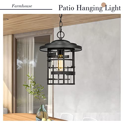 
                  
                    Emliviar Farmhouse Outdoor Pendant Lighting, 13.5 Inch Exterior Ceiling Hanging Light Fixture for Porch, Metal Cage with Clear Glass Shade, Black Finish, LE256H BK
                  
                