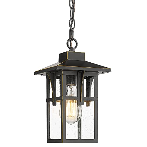 
                  
                    HWH Outdoor Hanging Lights Farmhouse Outdoor Pendant Lighting with Height Adjustable Chain, Matte Black Finish, 5HX62H BG
                  
                