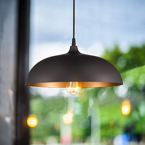 
                  
                    Emliviar Farmhouse Pendant Light Fixture, 1-Light Industrial Hanging Light with 14" Metal Dome Shade, Oil Rubbed Bronze,1901M ORB
                  
                