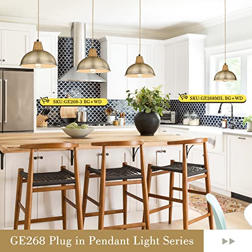 
                  
                    Emliviar Plug in Pendant Lighting with Cord, Modern 3 Light Chandelier Swag Lights with Metal Dome Shade, Brass Finish, GE268-3 BG+WD
                  
                