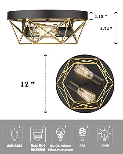 
                  
                    HWH 2-Light Industrial Ceiling Light,  Brass Metal Cage Flush Mount Lighting Fixture, Black and Gold 5HY28F BK+BG
                  
                