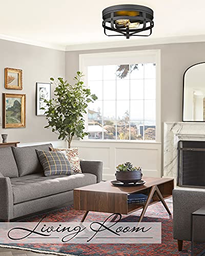 
                  
                    HWH Industrial Ceiling Light Fixture 13inch Metal Cage Flush Mount Close to Ceiling Light, Matte Black Finish, 5HZG55-F BK
                  
                