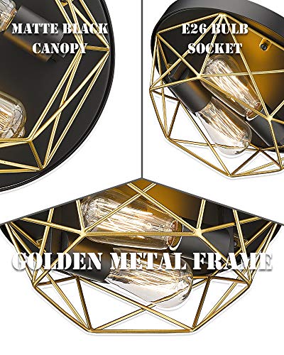 
                  
                    HWH 2-Light Industrial Ceiling Light,  Brass Metal Cage Flush Mount Lighting Fixture, Black and Gold 5HY28F BK+BG
                  
                