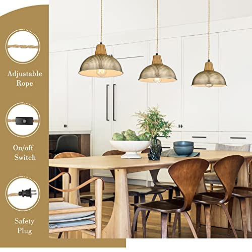 
                  
                    Emliviar Plug in Pendant Lighting with Cord, Modern 3 Light Chandelier Swag Lights with Metal Dome Shade, Brass Finish, GE268-3 BG+WD
                  
                